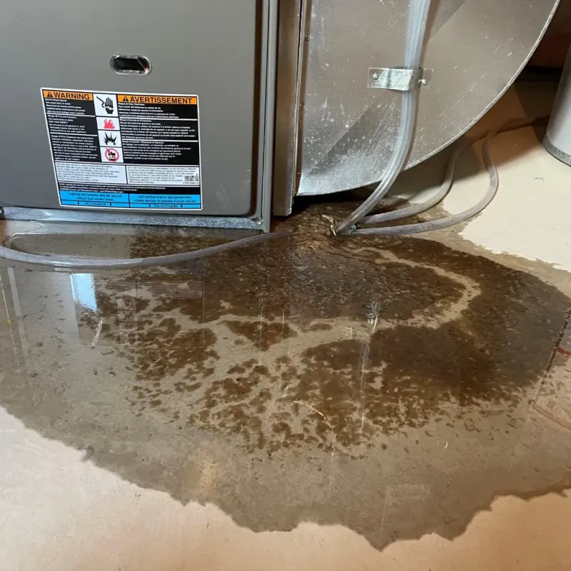 Appliance Leak Cleanup in Bristol, FL